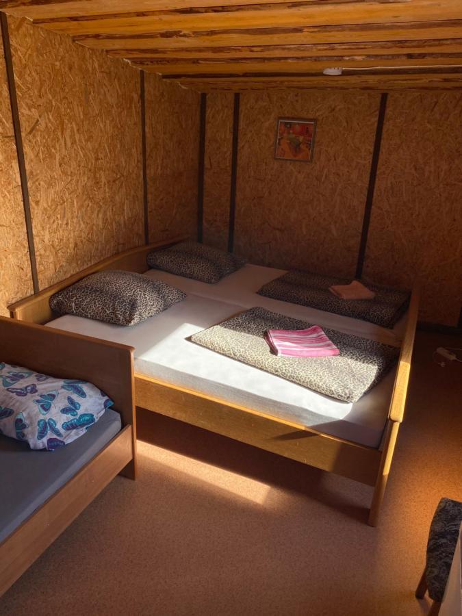 Viesu Maja Arnicani 拉加希姆斯 外观 照片