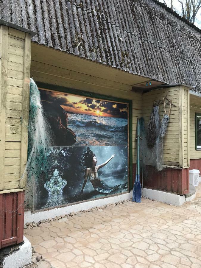 Viesu Maja Arnicani 拉加希姆斯 外观 照片